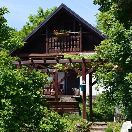 Na Okic - A Private Forest Oasis Sveti Martin pod Okicem エクステリア 写真