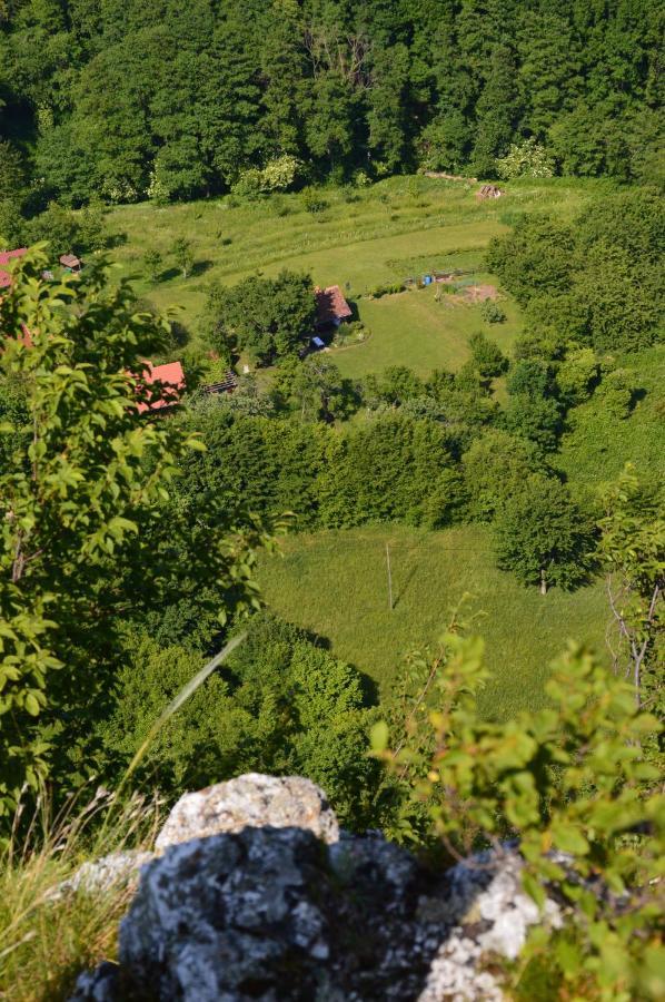 Na Okic - A Private Forest Oasis Sveti Martin pod Okicem エクステリア 写真