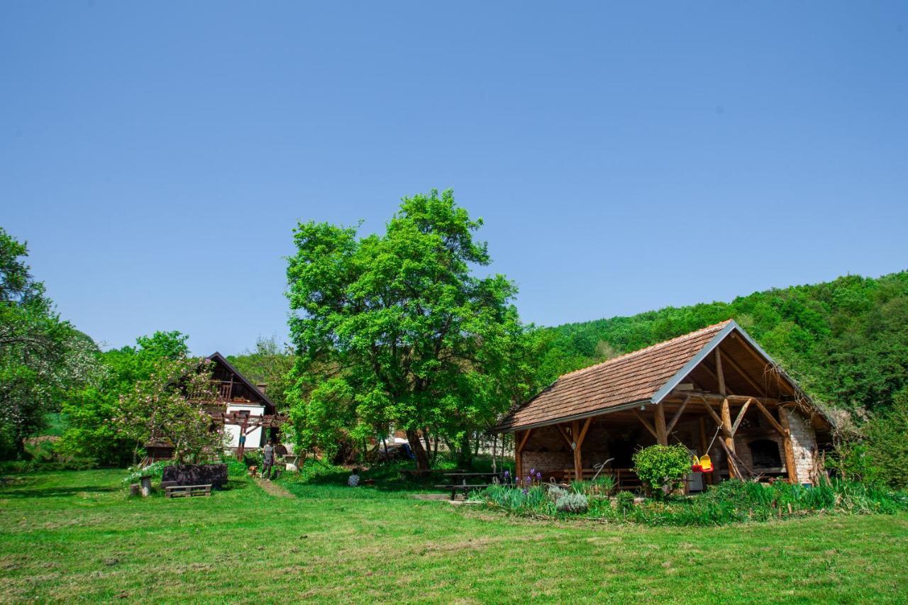 Na Okic - A Private Forest Oasis Sveti Martin pod Okicem エクステリア 写真