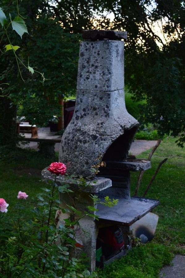 Na Okic - A Private Forest Oasis Sveti Martin pod Okicem エクステリア 写真